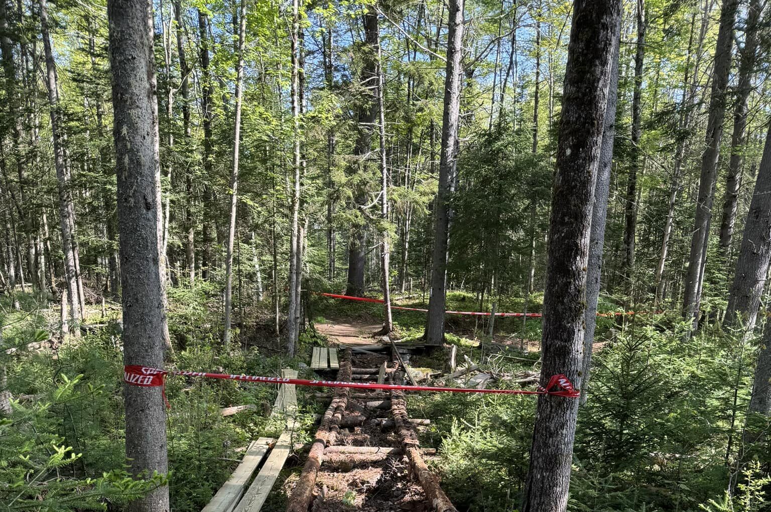 Considerations When Planning a New Trail